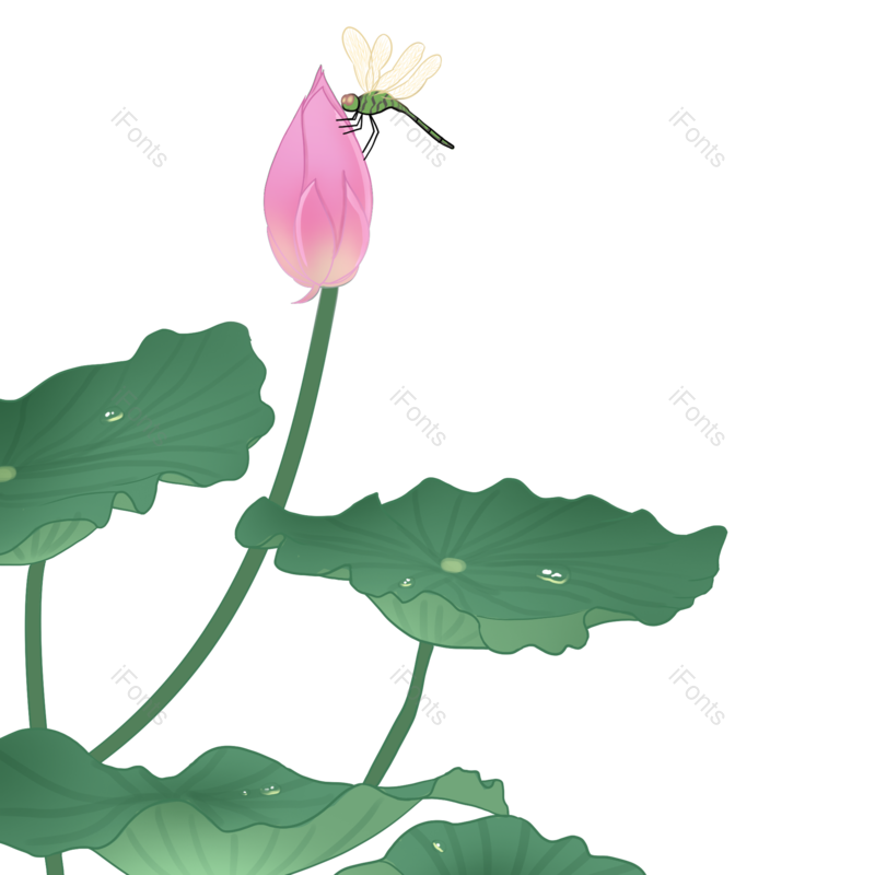 荷花图片,插画元素,素材PNG,手绘免抠素材